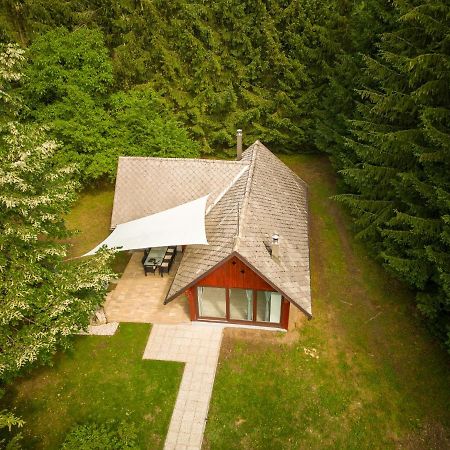 Villa Cebelnk: Sanjska Hisica 4 Km Od Bleda Lesce  Exterior foto